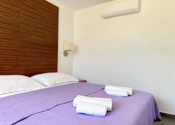 Saluto دوبروفينك