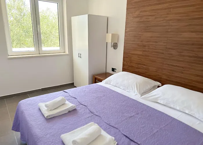 Saluto دوبروفينك